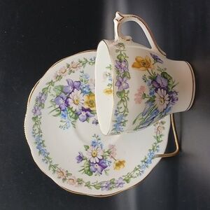 ROSLYN Cup & Saucer Fine Bone China  "Garland"  Tea/Coffee Cup  Made In England